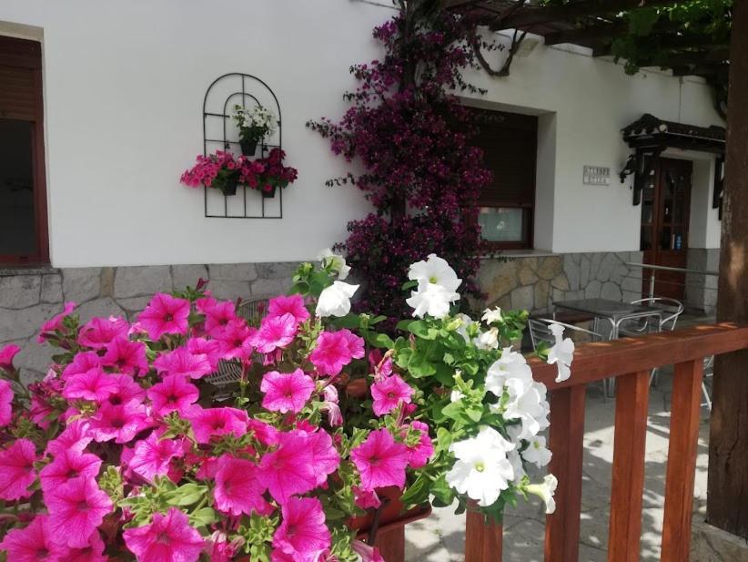 Atxispe Etxea Casa Rural Laukiz Exterior foto